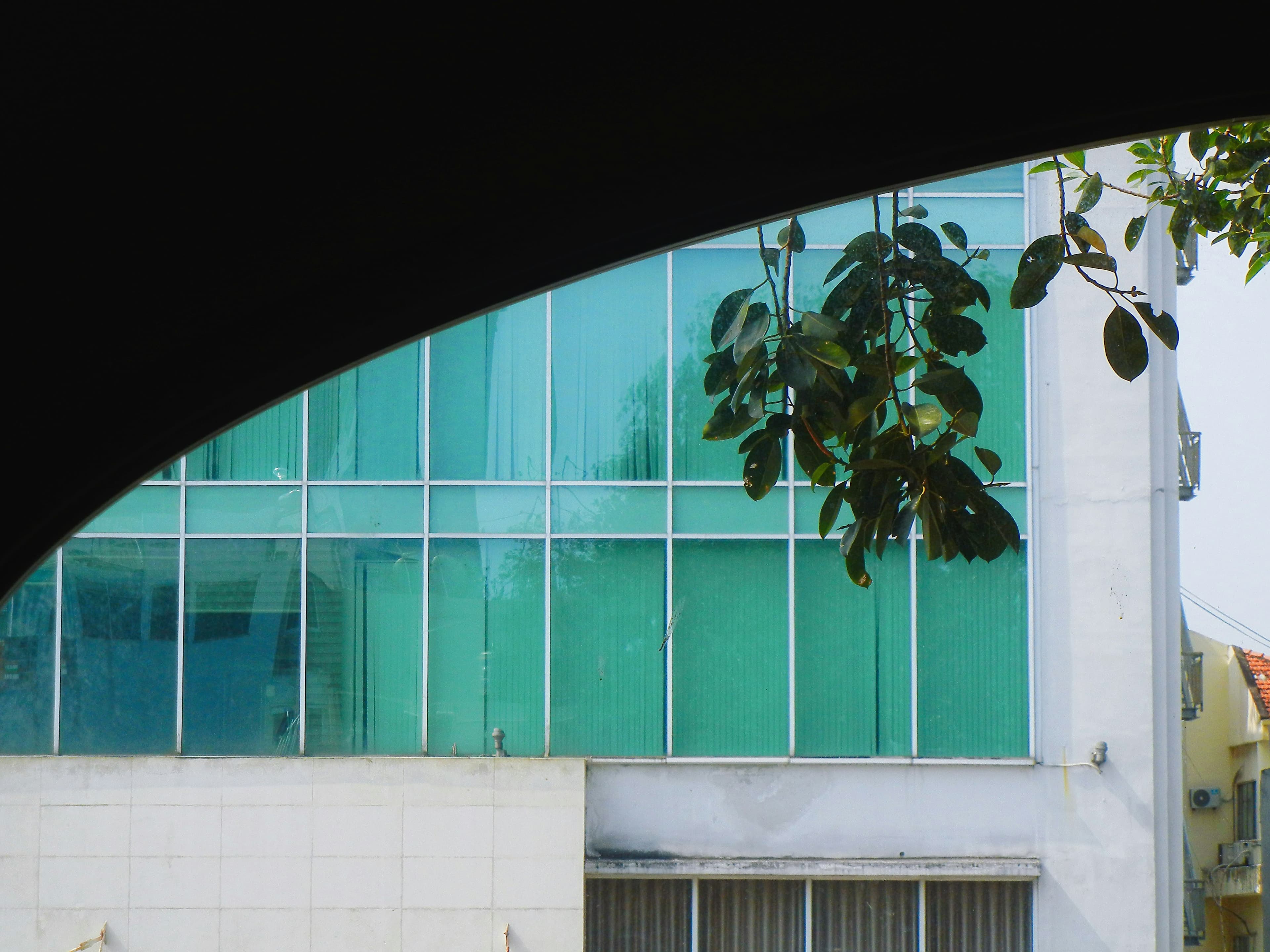 Modern byggnad med blanka glasfönster